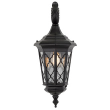 Black Ronan Outdoor Wall Light